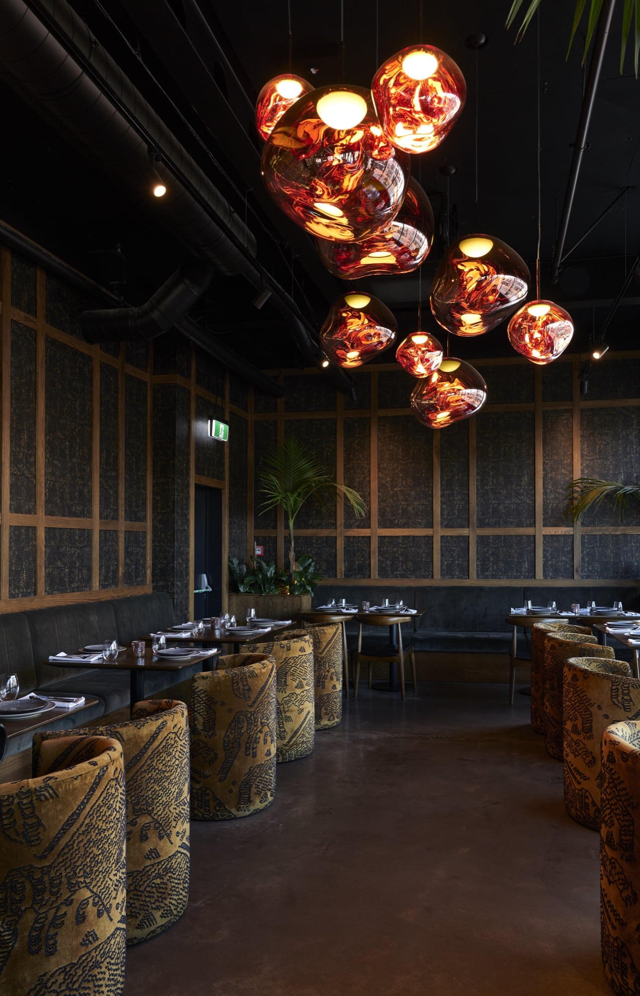 king-of-snake-images-13