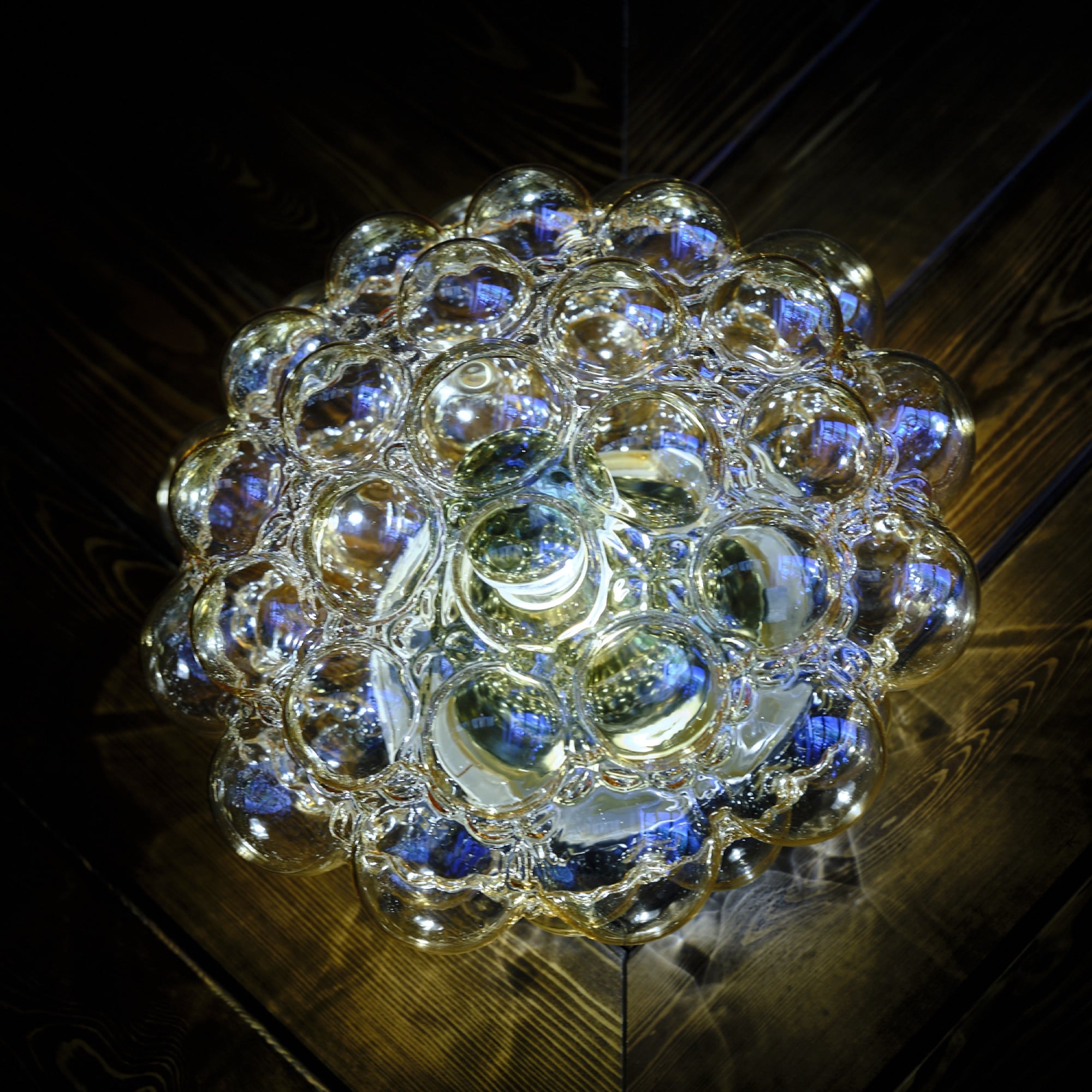 king-of-snake-images-monarch-bar-7