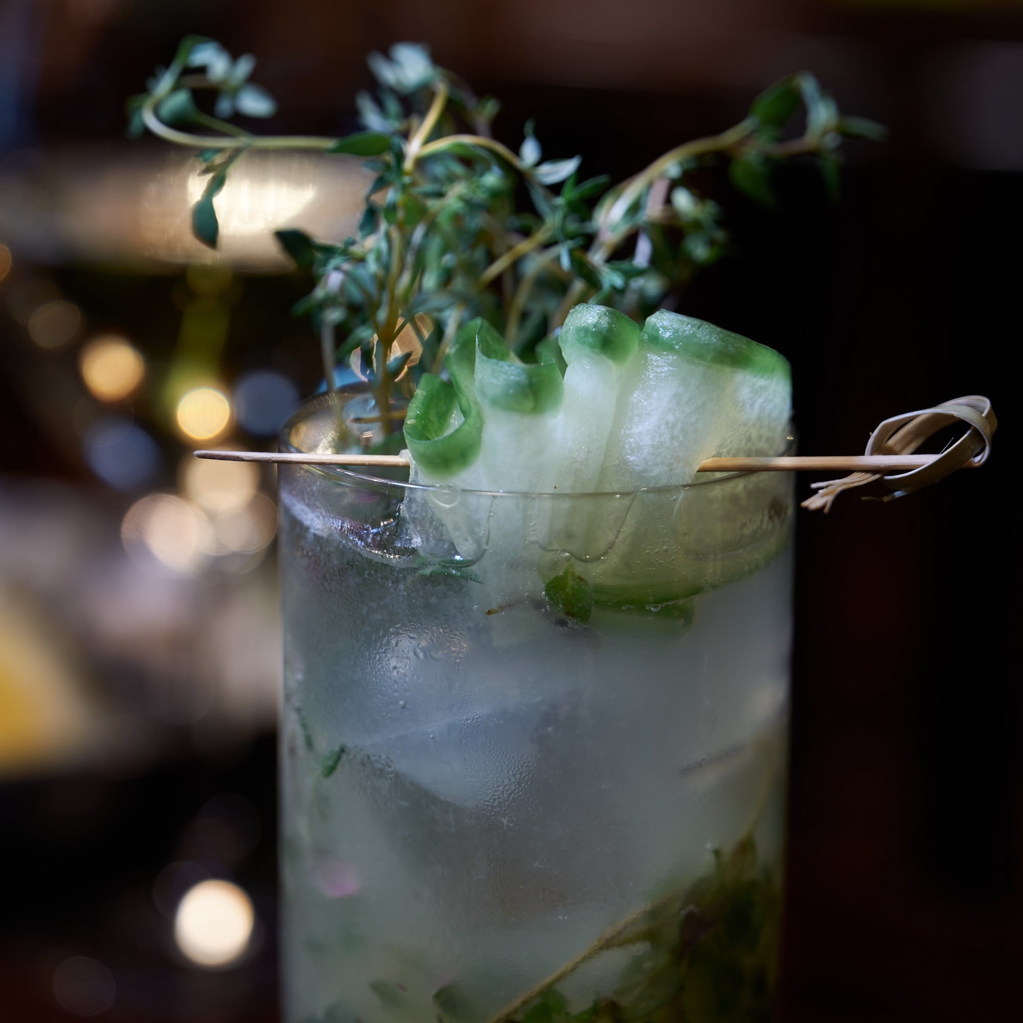 king-of-snake-images-monarch-bar-9